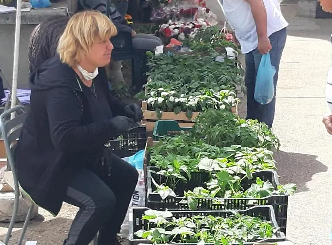 Petrovic Center Trogir