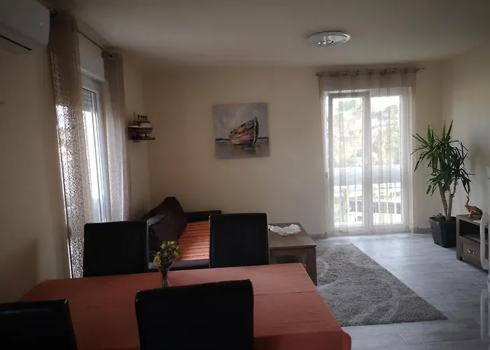 Appartement Petrovic Center