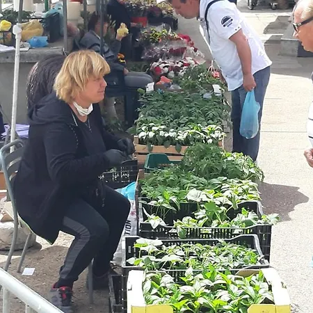 Petrovic Center Trogir