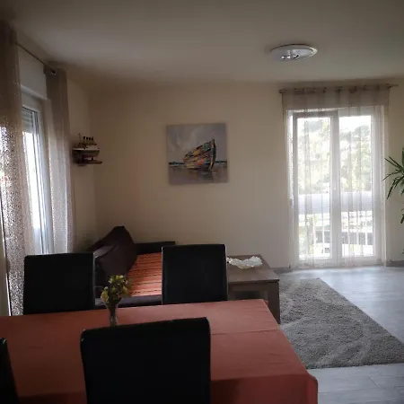 Apartment Petrovic Center